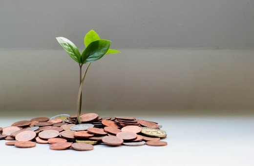 Mutual fund investment planning